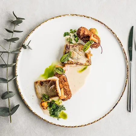 מלון Aries & ויסלאו